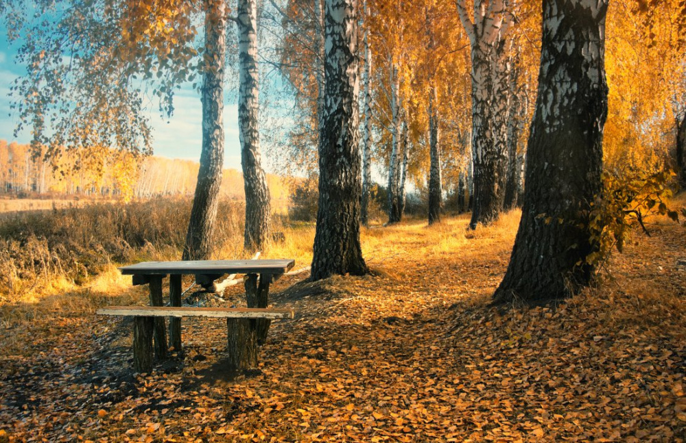 Игро в октябре 2025