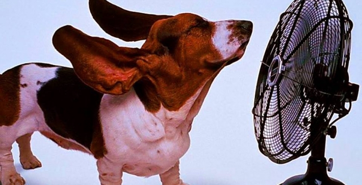 Записки оратора: климат